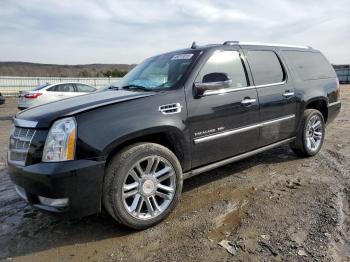  Salvage Cadillac Escalade