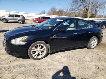  Salvage Nissan Maxima