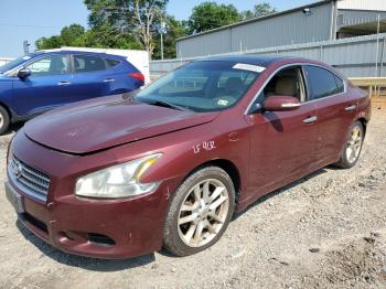  Salvage Nissan Maxima