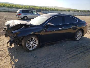  Salvage Nissan Maxima