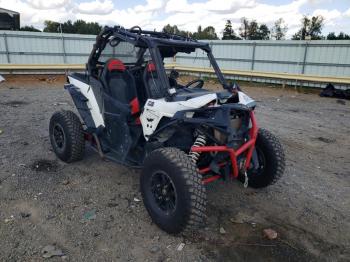  Salvage Other Rzr Xp 1000