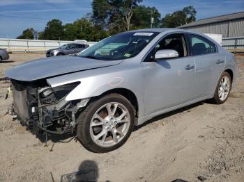  Salvage Nissan Maxima