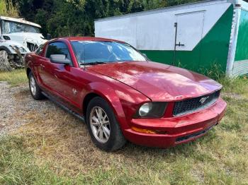  Salvage Ford Mustang