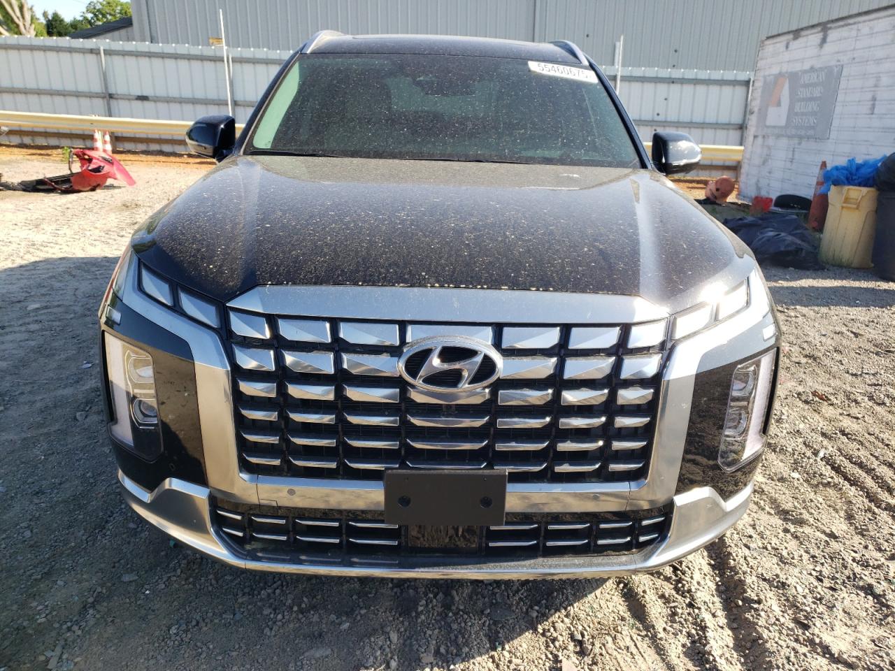 Hyundai PALISADE Calligraphy Image 4