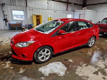  Salvage Ford Focus