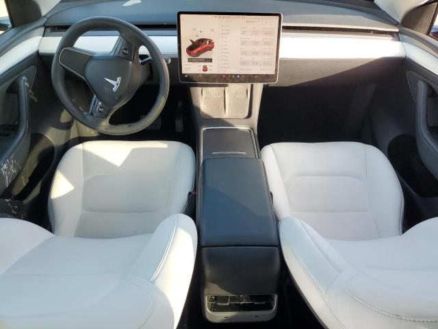 Tesla Model Y Image 5