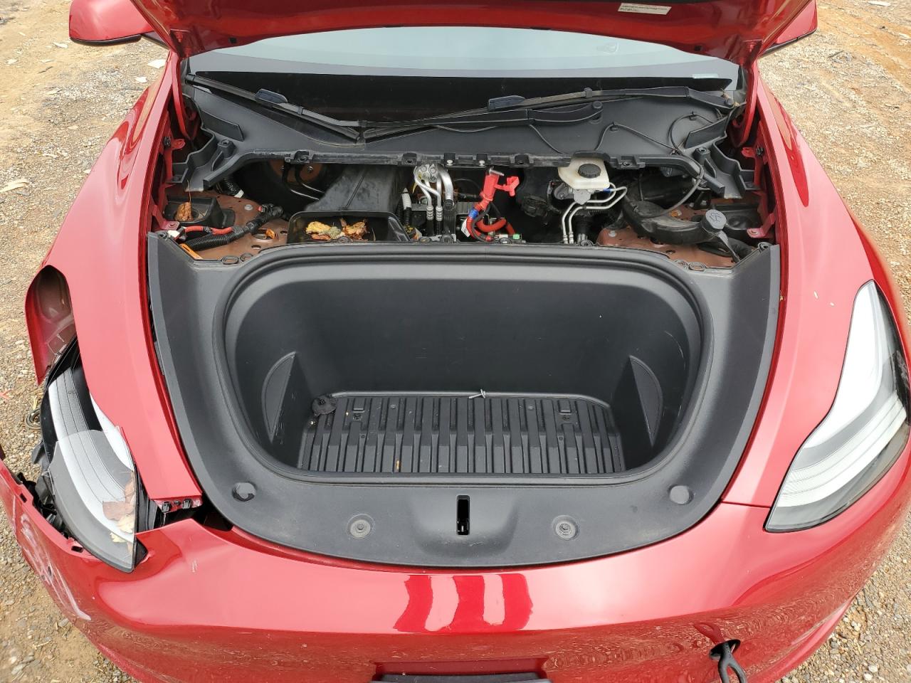 Tesla Model Y Image 10