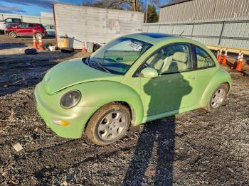  Salvage Volkswagen Beetle