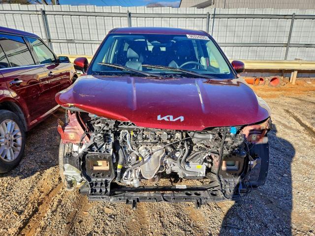 Kia Carnival Lx Image 12