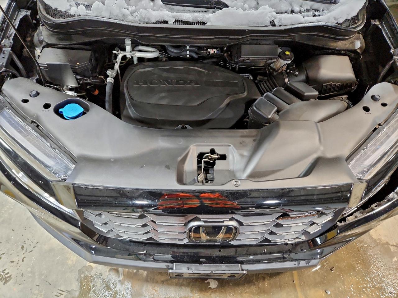 Honda Passport Trail Sport Image 12