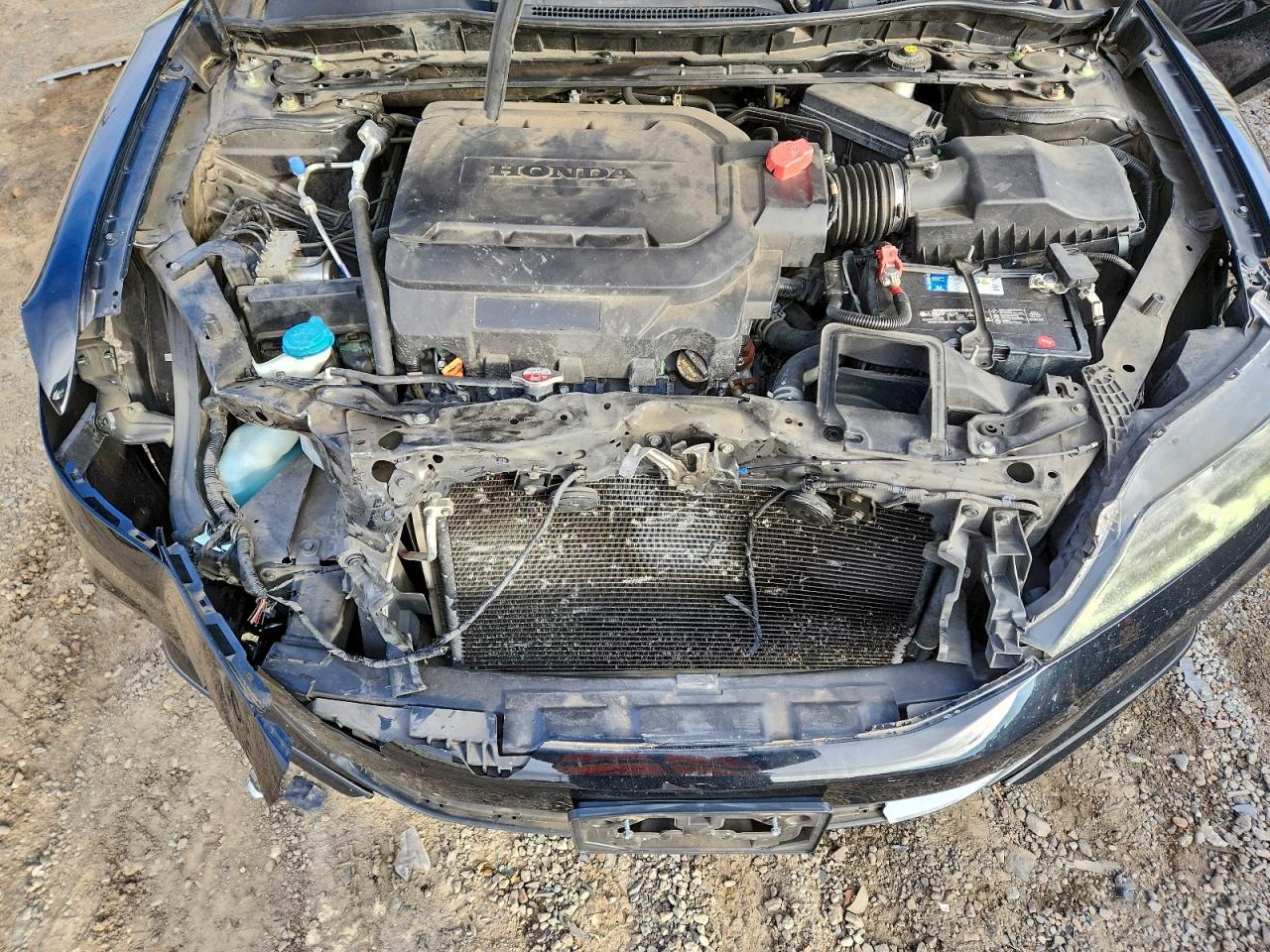 Honda Accord Exl Image 10