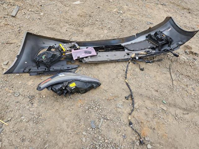 Hyundai Equus Signature Image 2