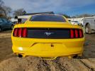 Ford Mustang Image 3